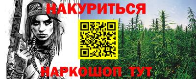 стафф Нальчик
