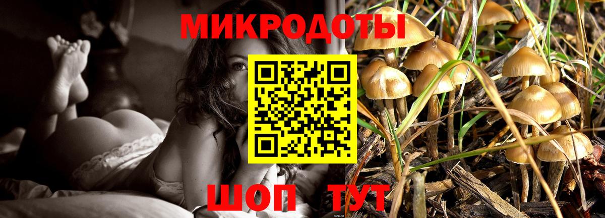 Псилоцибиновые грибы Cubensis  Вход с VPN  Алейск  Галлюциногенные грибы мухоморы 